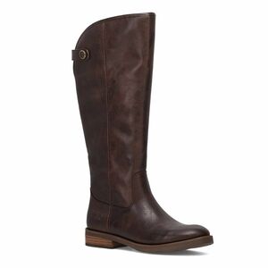 **NWT** Frye & Co Kellie Button Boots